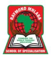 Raymond Mhlaba School of Specialisation